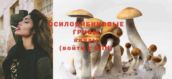 СК Белокуриха