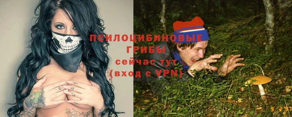 ПСИЛОЦИБИНОВЫЕ ГРИБЫ Переславль-Залесский